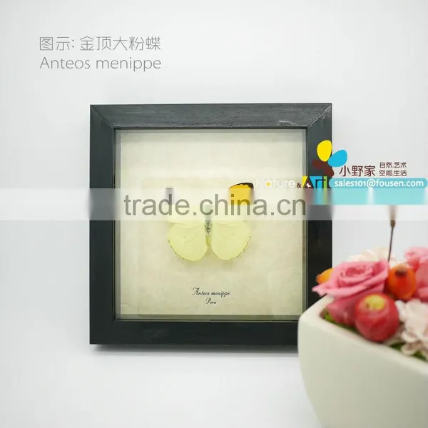 FOUSEN(035) Nature& Art Natural Species Handicraft Art