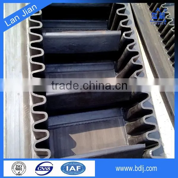Good Quality Customized Belt Conveyor 90 Degree photo-3