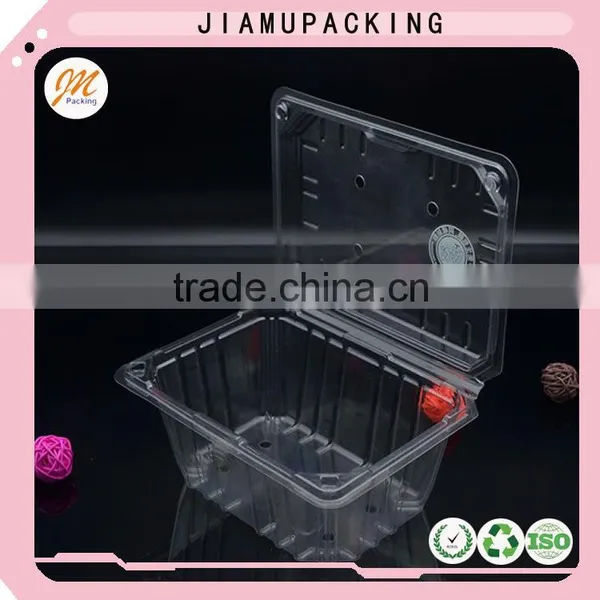 Clear Plastic Clamshell Fruit Packaging photo-4
