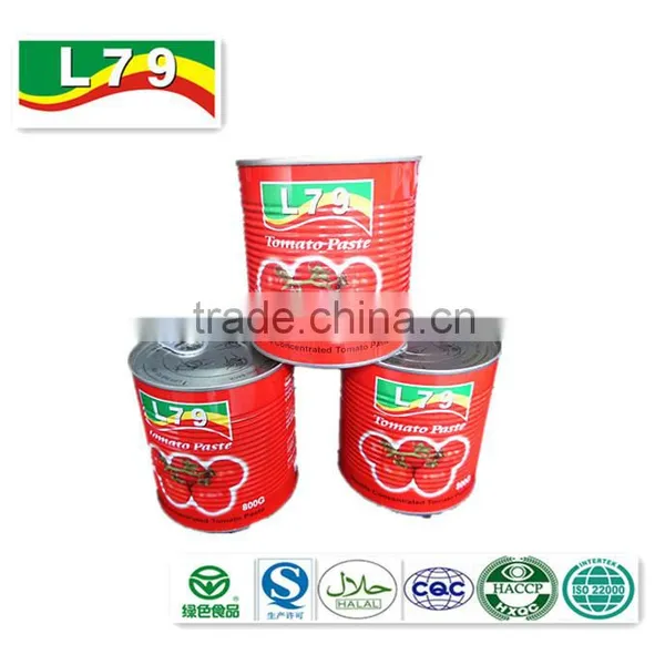 800G High Quality Manufactory Brix 28-30% Canned Tomato Paste photo-2
