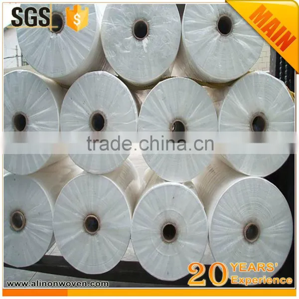 Fabric Manufacturer Supply Spunbond Polypropylene Non Woven photo-4