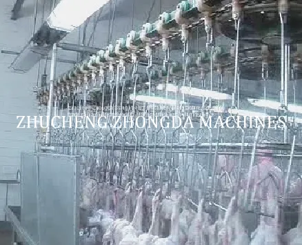 Высокое качество и приемлемая цена. Сlaughtering house от Zhucheng Zhongda