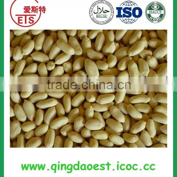 2016 Chinese Blanched Peanut Kernel in Long Shape photo-2