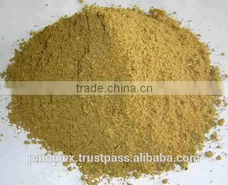 cashew testa