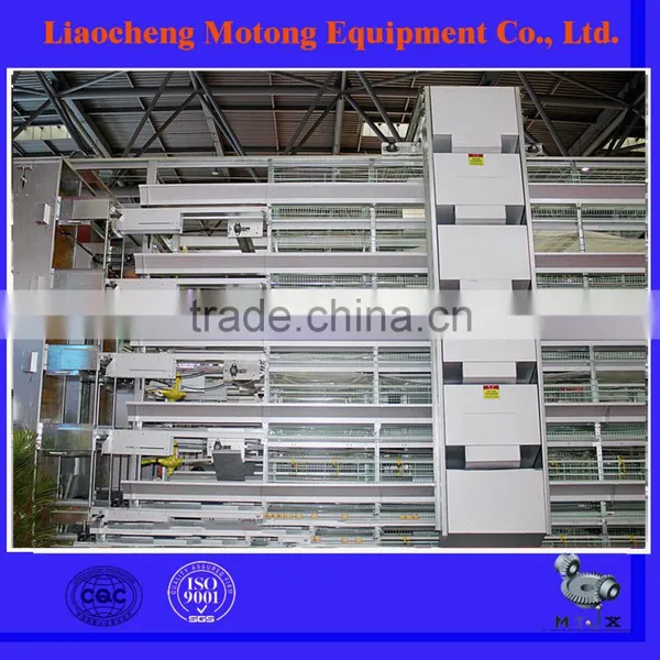 Good Quality Low Price Automatic Chicken Cage/Layer Cage/Broiler Cage Poultry Equipment For Chicken Farm photo-5