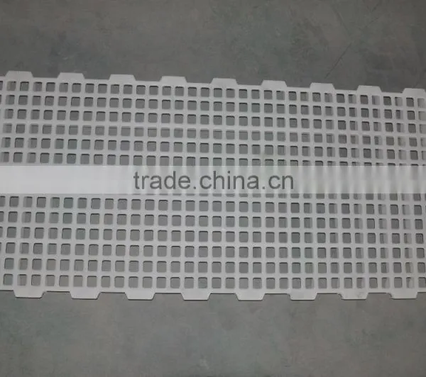 Plastic Slatted Floor for Chicken House