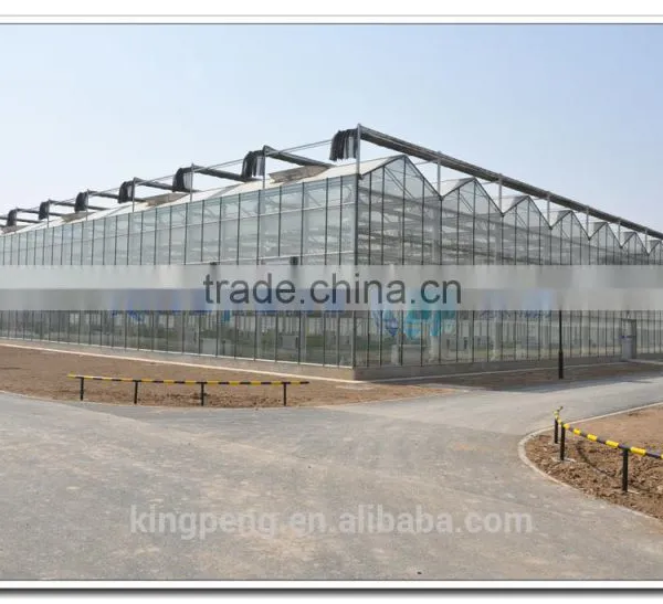 Hot-sale Tempered Glass Greenhouse photo-3