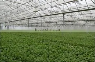 Polycarbonate Greenhouse photo-3