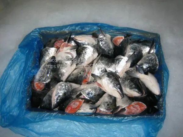 Atlantic Salmon Fish, Salmon Belly, Salmon Backbone, Salmon Head, Salmon HOG, Norwegian Salmon HG, Salmon Oil, Caviar photo-4