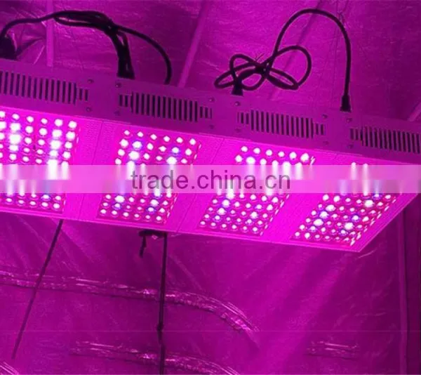 Plant Growing Diasy Chain Led Light High Lumen 300w Led Grow Light photo-5