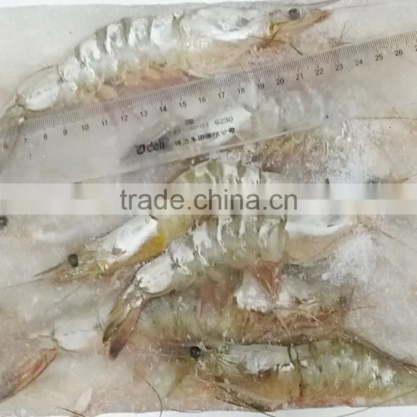 HACCP Vannamei White Shrimp photo-3