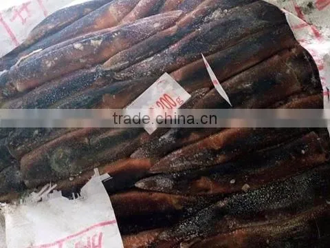 Illex Argentinus Squid Frozen Seafood photo-4
