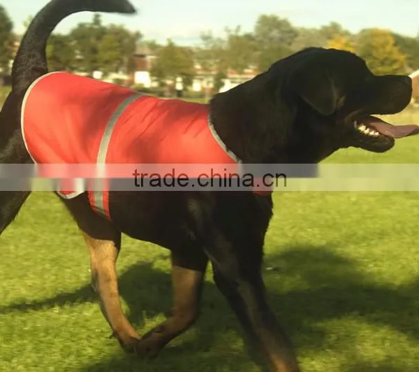 High Visibility Safety Nice Clothes Service Dog Vest in Stock photo-6
