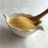 Passion Fruit Powder