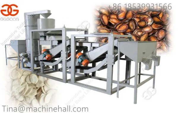 High Effiency Watermelon Seeds Peeling Machine for Sale Supplier China Factory photo-2