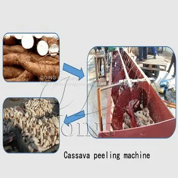 Cassava Peeling and Washing Machine Cassava Peeler photo-4