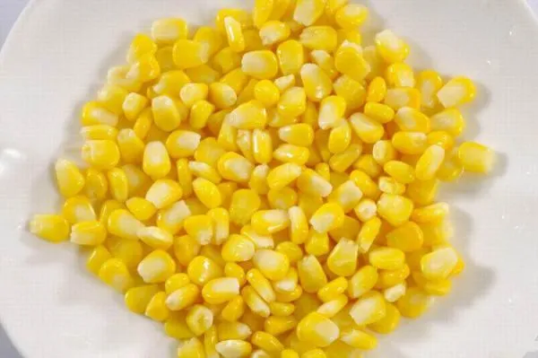New Crop Sweet Corn New Crop Sweet Corn Fresh Sweet Corn Natural Fresh Sweet Corn Food Prices