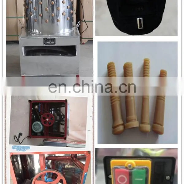 TM-50 Hot Sale Product Poultry Plucker/poultry Feather Plucking Machine/chicken Feather Cleaning Machine in Hot Selling photo-5
