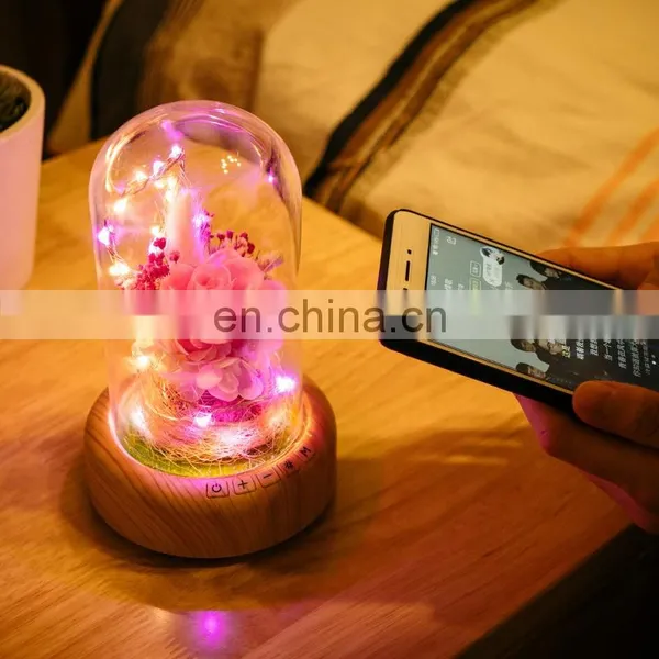 Decoration Girl Room Layout Student Gift Led Bluetooth Speaker Night Light photo-2