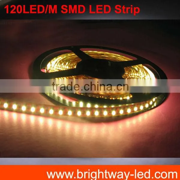12 Volt 3528 Addressable RGB Prodrammable Flexible LED Strip