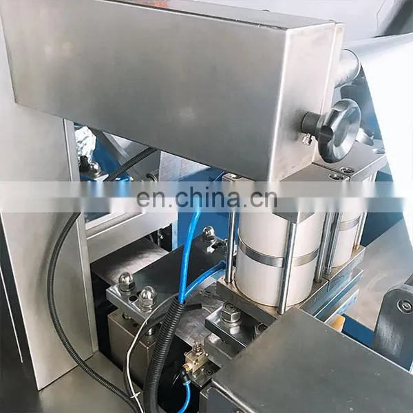 DPP-250 Automatic Blister Packing Machine Price With Blister Packing Machine Mould photo-2