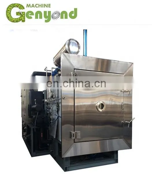 Higher Fruit and Vegetable Freeze Dryer Equipment photo-3