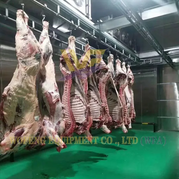 800 Cattle Per Shift Butchery Machinery Beef Abattoir Equipment Slaughterhouse for Cows and Lamb Mutton Beef Processing Line photo-3