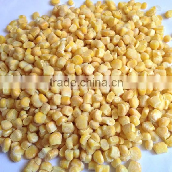 IQF Frozen Sweet Corn Kernel Jinfei Cuiwang Huazhen Variety photo-4