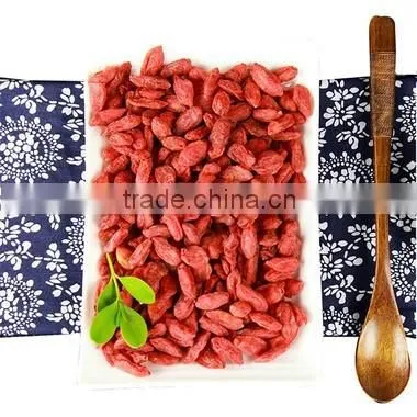 China Gouqi for Dried Fruit photo-3