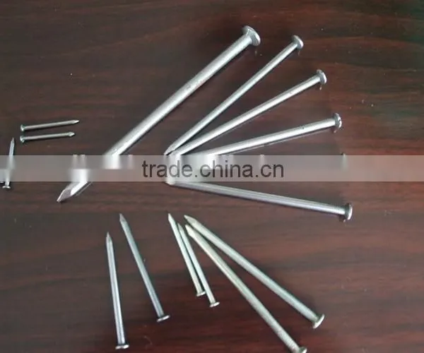 Common Nail photo-4