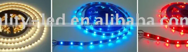 SMD monochromatic flexible strip LED light,RGB color change white red blue green LED,Flexible SMD Strip light for decoration