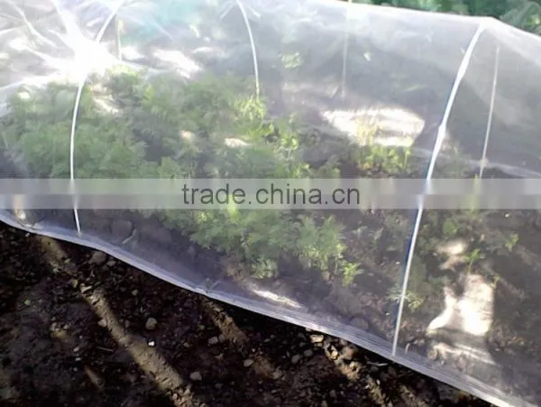 Supply uv Treated Transparent HDPE Anti Insect Net, Aphid Control Insect Screen photo-2