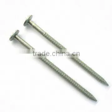 Concrete Nails photo-2