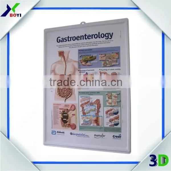 Human Body Anatomy 3d Wall Poster/embossed Cubic Medical Poster photo-6