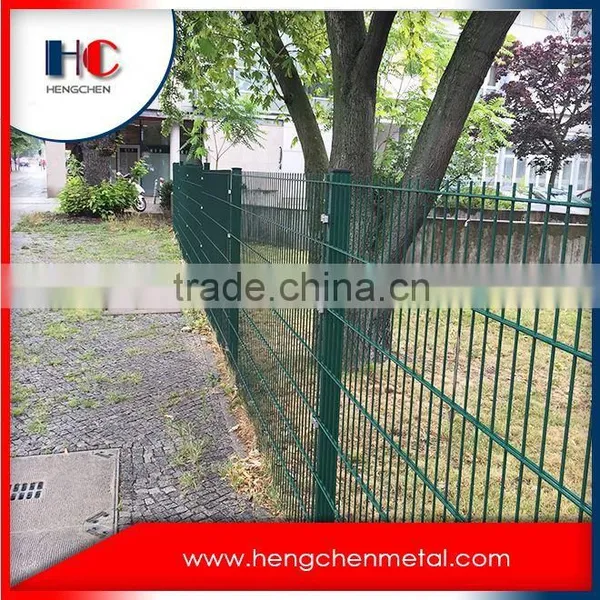 China Chain Link Welded Wire Mesh Fence photo-4
