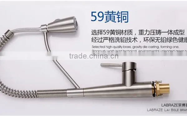 LABRAZE LE1031 Kitchen New Design Brass Faucets photo-6