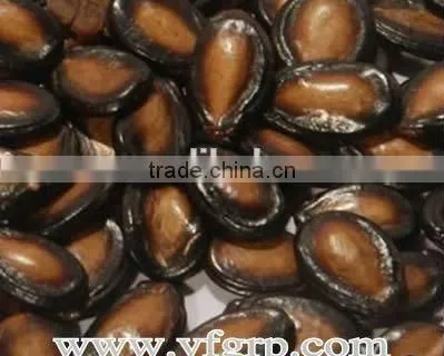 Organic Fresh Big Raw Green Peel Red Meat Seeded Watermelon Seeds For Cultivation photo-3