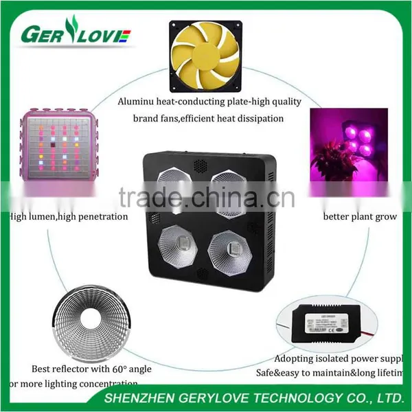 Spain LED Grow Light COB 800W 400W Farming LED Grow Lights for Commercial Purpose photo-5