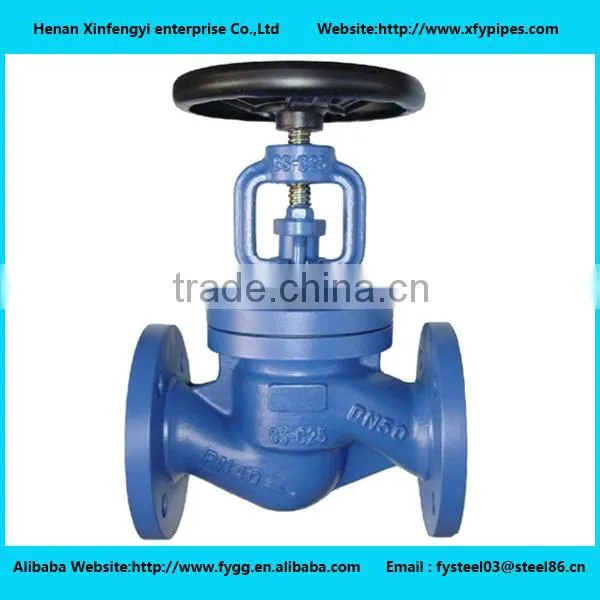 Check Valve Hebei Factory Supply Directly photo-4