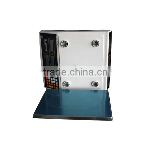 ACS Weighing Scale for Rice photo-3