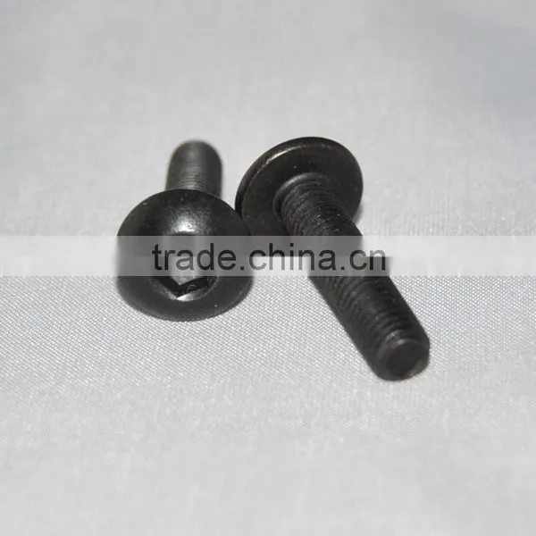 Standard M*6*1.0 Black Zinc Screw Bike for Foxconn photo-3