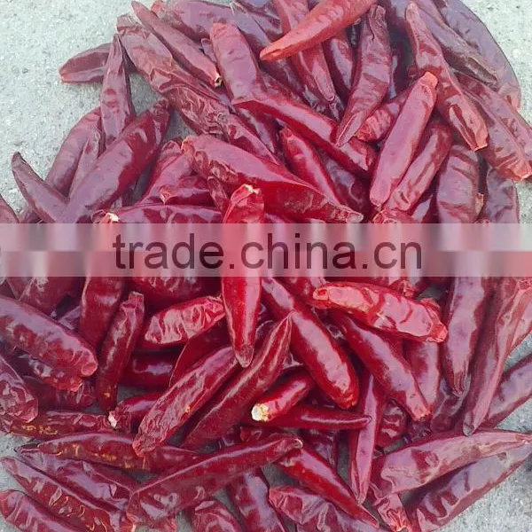 Red Chilli, Red Bullet (Zidantou Chilli) , Small Chilli