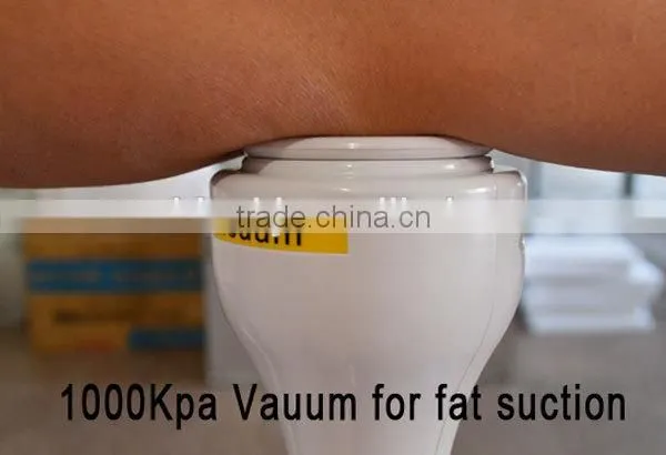 2016 Hot 5 Treatment Handles Cavitation Weight Loss Slimming photo-6