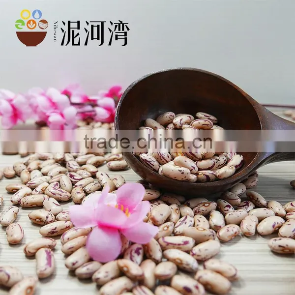 Light Speckled Kidney Bean 200-220pcs With Best Price photo-3