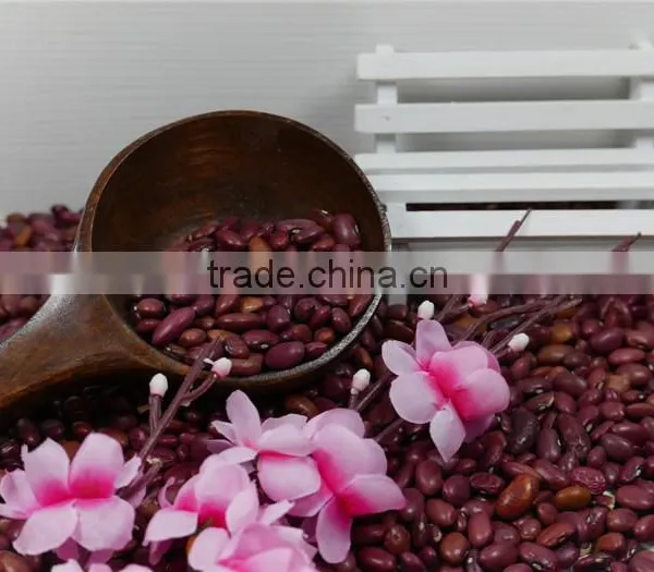 Small Red Kidney Bean 2016 Crop Good Price High Quality photo-6