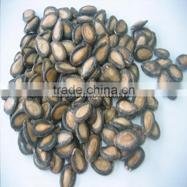 Hot Products Delicious Watermelon Seed photo-2