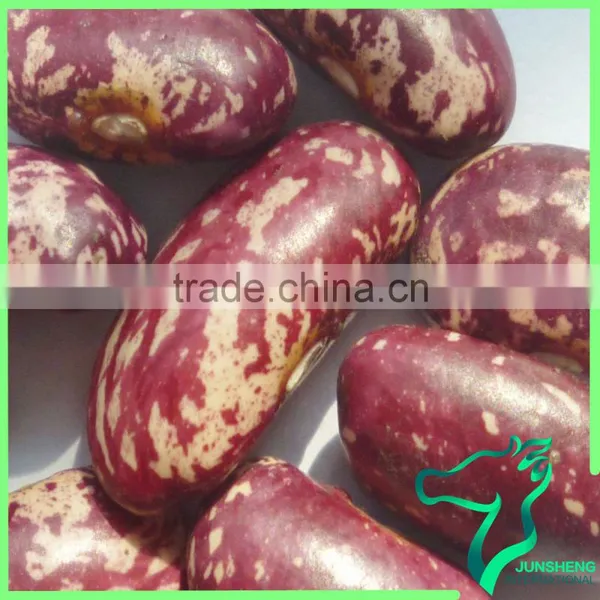 Available Chinese Beans Red Speckled Kidney Beans Canned photo-2
