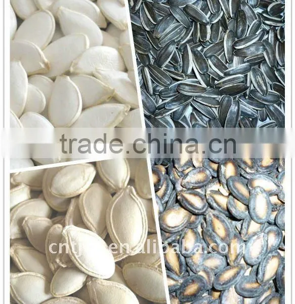 Hgh Quality Roasted and Saltd Pumpkin Seeds 11cm,12cm,13cm photo-2