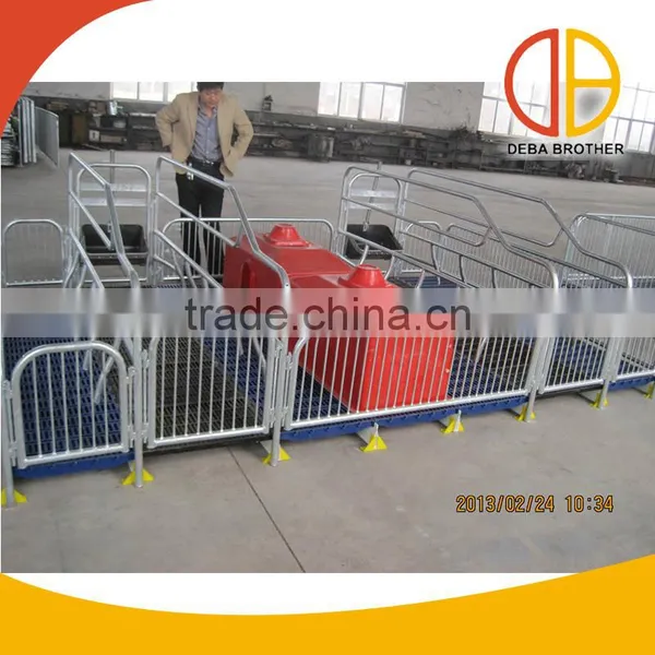 Factory Price Farrowing and Farrowing Crate for Sale photo-2