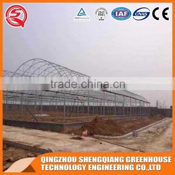 Multi-span Plastic Tomato Greenhouse Hot Galvanized Steel Frame photo-5